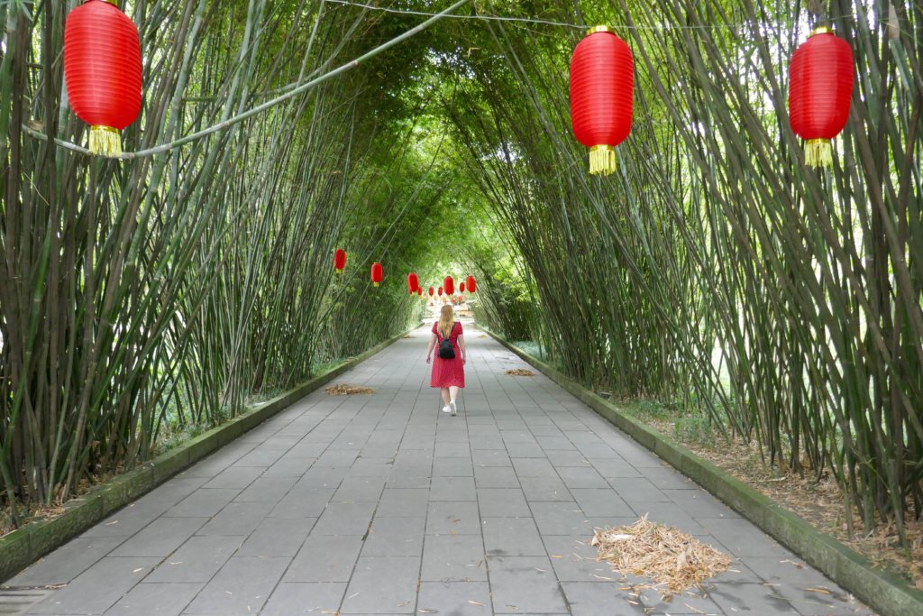 woman walking in bamboo forest with red chinese lanterns