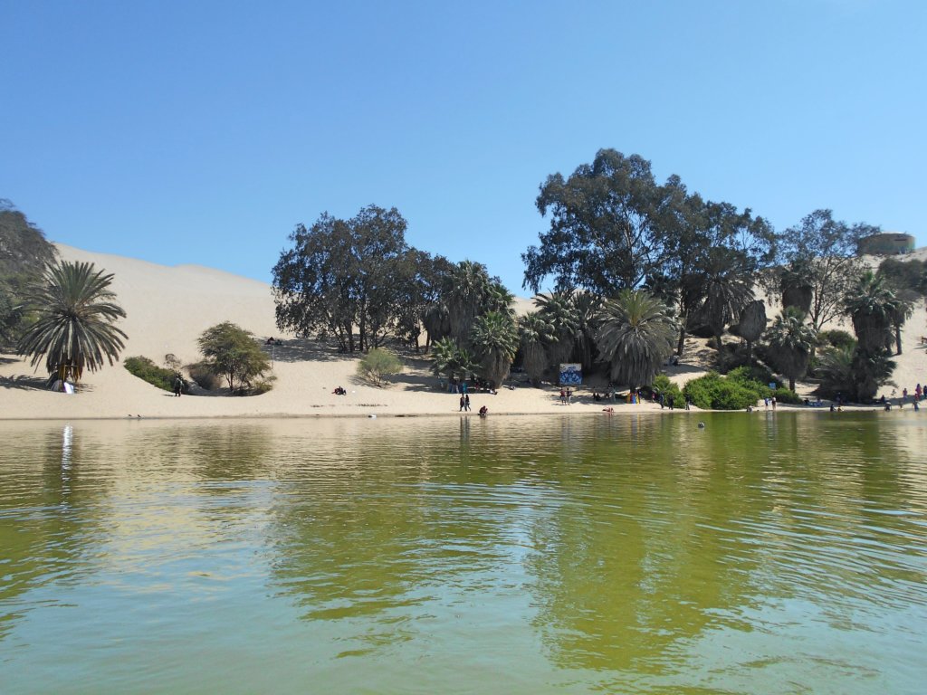 Green lake in front of sand dune